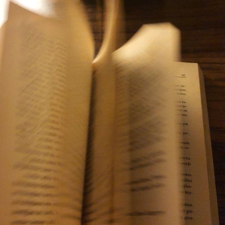 Páginas de un libro