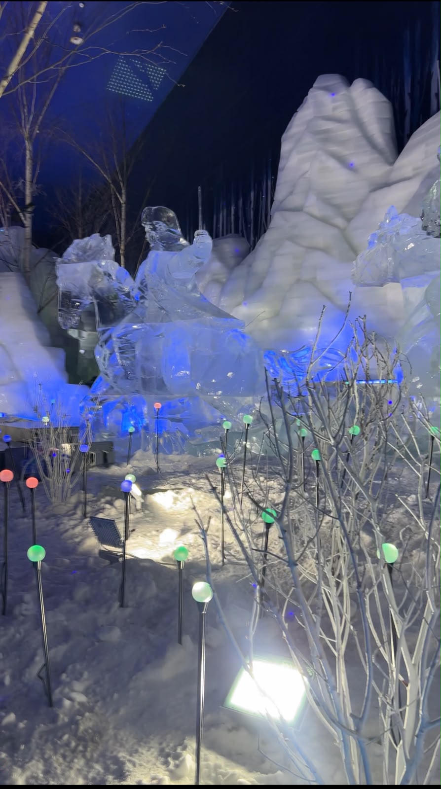 Harbin convirtió el hielo, la nieve y las bajas temperaturas en parte de su identidad durante los doce meses del año.