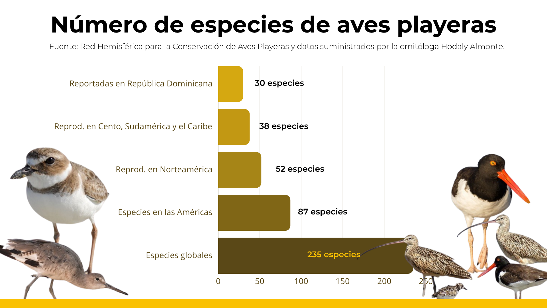 Número de especies de aves playeras