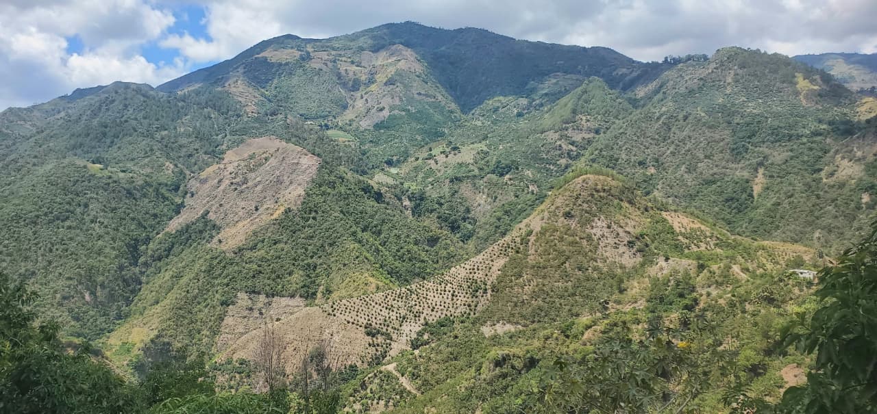 En lo que va de año se han reportado daños a los recursos naturales producto de incendios forestales y otras infracciones en zonas como La Cieniguita, Palo de Caja, Sabana de San Juan y otras, donde diferentes especies han sido afectadas.