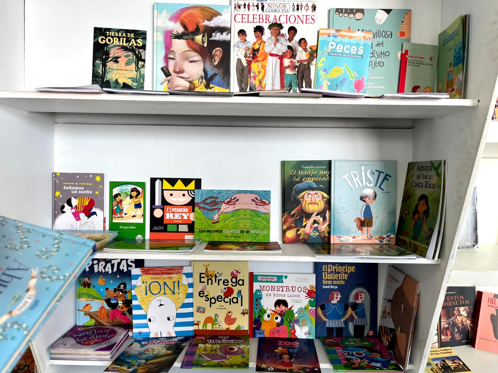 Estante de libros para niños en el Bono Libro.